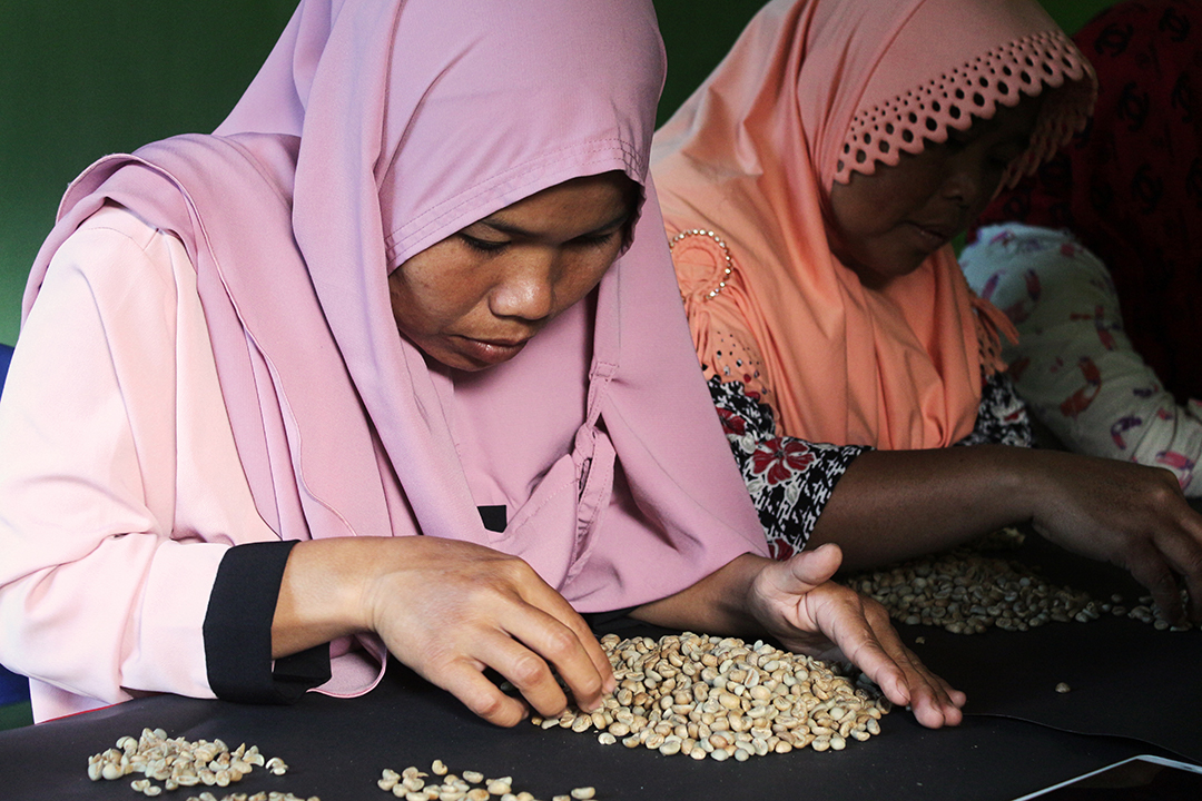D'Jangkat Sungai Tenang tidak hanya sebatas Brand Kopi Lokal Saja