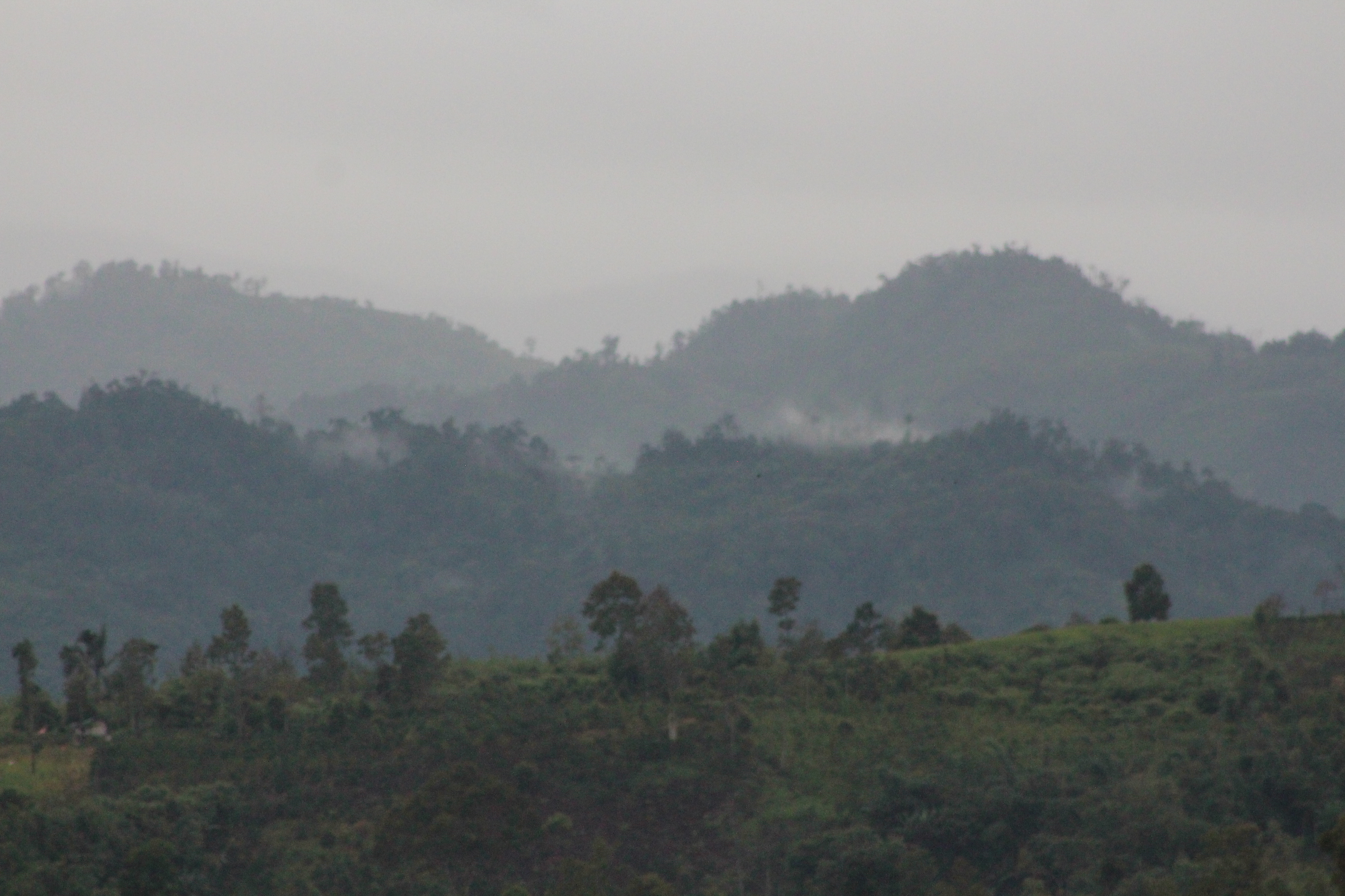 Studi Biodiversity Empat Desa di Dua Landscape Kab. Merangin dan Kab. Kerinci