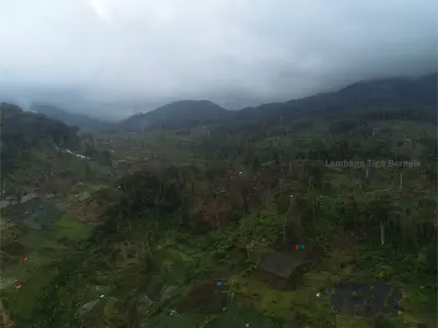 Deforestasi di Hutan Hujan Tropis Sumatera Warisan UNESCO