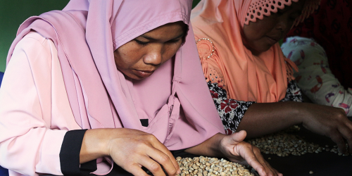 D'Jangkat Sungai Tenang tidak hanya sebatas Brand Kopi Lokal Saja