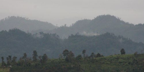 Studi Biodiversity Empat Desa di Dua Landscape Kab. Merangin dan Kab. Kerinci