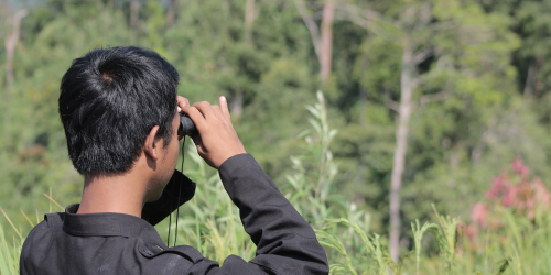 Studi Biodiversity Empat Desa di Dua Landscape Kab. Merangin dan Kab. Kerinci 